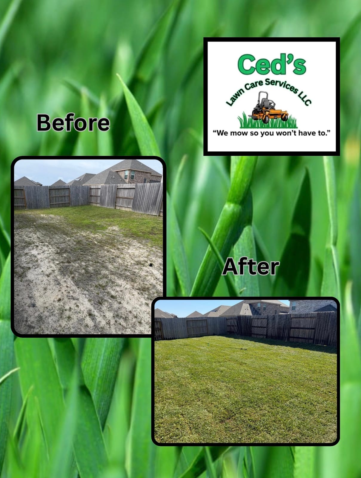 Before and after backyard lawn improvement collage over a grass background