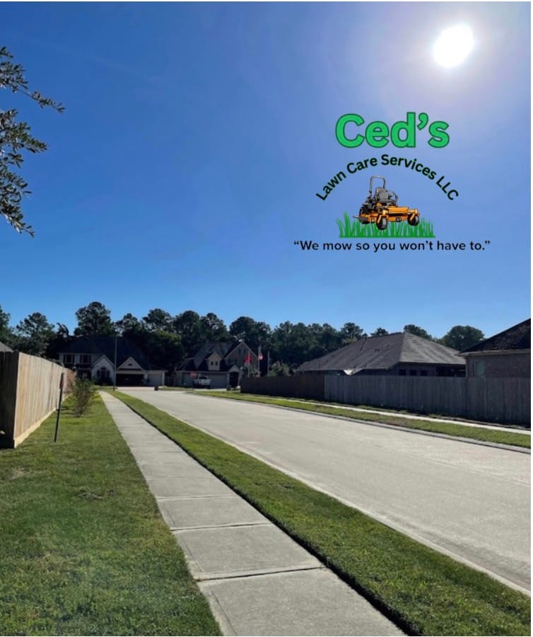 Freshly cut grass bordering a clean sidewalk on a sunny residential street
